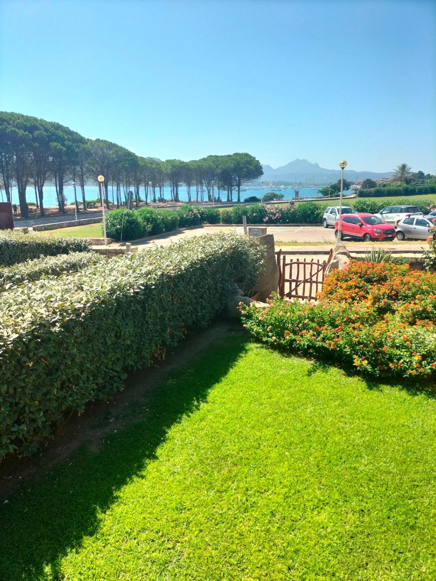 Rosa Cannigione
